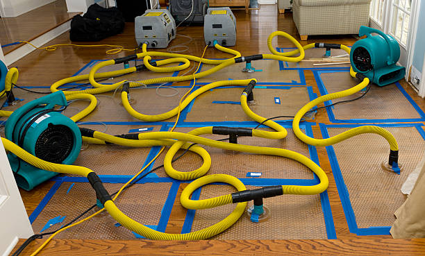 Professional Burst Pipe Water Damage technician working in Peach Creek, WV