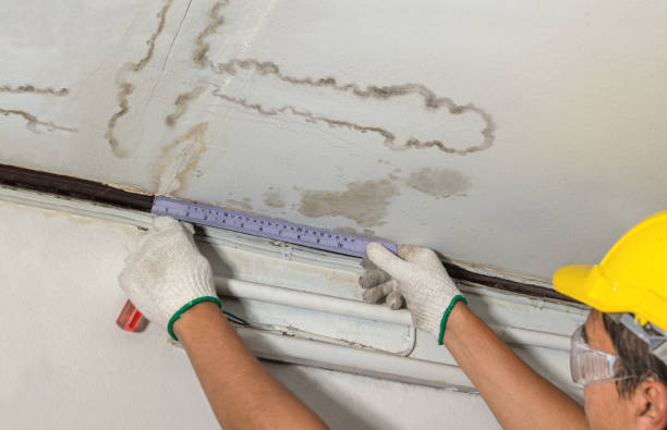 Affordable Water Damage Repair solutions in Peach Creek, WV